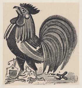 Un coq, vers 1880-1910
