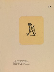 Le dauphin pétulant