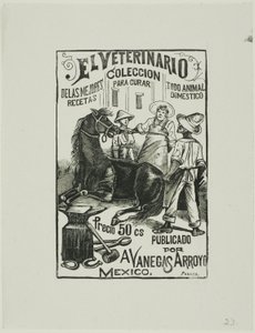 Le vétérinaire