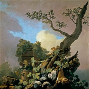 Chasse : Oiseaux et lièvres
