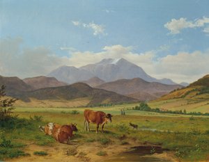 Paysage avec Schneeberg - Josef Feid