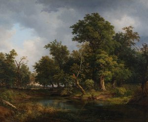 Paysage forestier