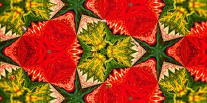 Créatures : Abeilles dans le jardin de roses - Josef Johann Michel