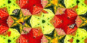 Créatures : Papillons dans le jardin de roses