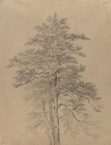  - Josef Kriehuber
