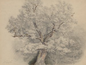  - Josef Kriehuber