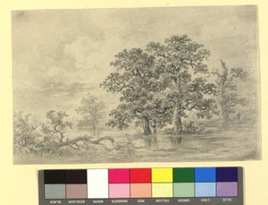 Paysage fluvial avec des arbres
