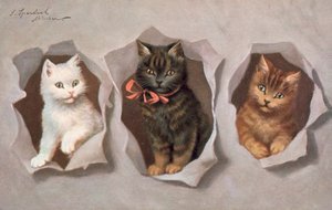 Carte postale de chat - Josef Sperlich