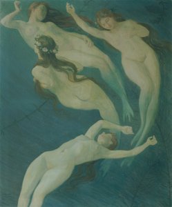 Nixes aquatiques - Josef Wawra
