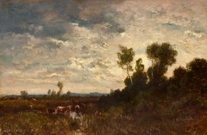 Paysage de lande
