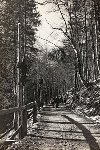 Album "Meine weltkriegs - Erinnerungen Front Sud-Ouest (Carinthie, Italie, Tyrol du Sud) 31/03/1915-12/11/1918 - Josef Zohles Wien": soldats au travail