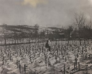 Album "Meine weltkriegs - Erinnerungen Front Sud-Ouest (Carinthie, Italie, Tyrol du Sud) 31/03/1915-12/11/1918 - Josef Zohles Wien": cimetière militaire - Josef Zohles