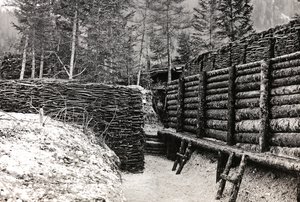 Barrière en rondins de bois - Josef Zohles