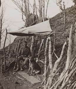 Album "Meine weltkriegs - Erinnerungen South-West Front (Carinthia, Italie, South Tyrol) 31/03/1915-12/11/1918 - Josef Zohles Wien": chien militaire sous une tente
