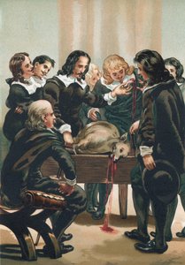 William Harvey démontrant la circulation du sang - Josep or Jose Planella Coromina