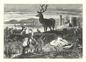La Décadence de la pompe terrestre - Joseph (after) Wolf