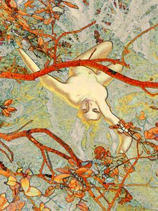 Alice en Cévennes 2