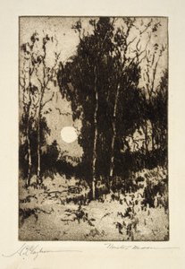 M. Moon