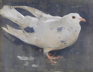 Le Pigeon