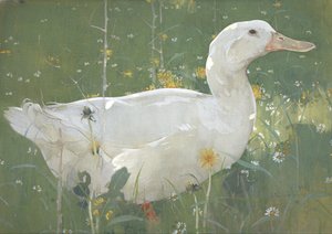 Le Drake blanc - Joseph Crawhall