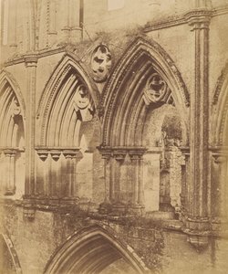 Abbaye de Rivaulx. Les arcs du triforium - Joseph Cundall