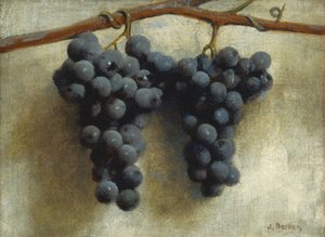 Grapes, c.1890-1895 (oil on canvas) - Joseph Decker