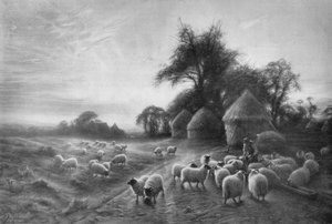 Moutons se nourrissant, vers 1890, 1911 - Joseph Farquharson