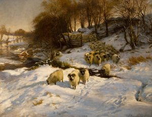 Moutons dans la neige