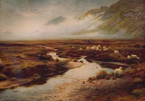 La mousse à Poolewe, 1913