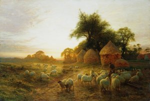 Ce coucher de soleil jaune mourant à l