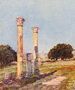 Rome : Au Palatin, La bibliothèque d