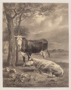 Bétail ruminant - Joseph Foxcroft Cole