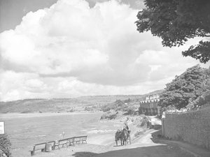 Cheval et charrette sur la route près de l