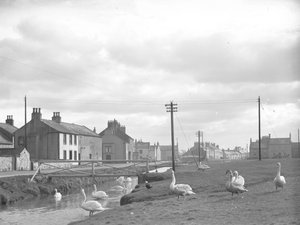 Rue à Allonby avec cygnes et ruisseau - Joseph Hardman