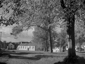 Arbres en feuilles et vue sur les bâtiments du village