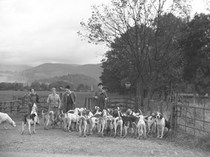 Deux hommes et deux femmes se tiennent debout avec un groupe de chiens courants.