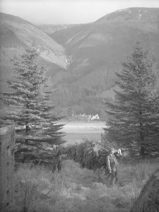 Deux hommes portant un arbre de Noël avec vue arrière - Joseph Hardman