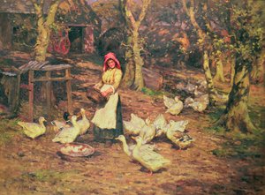 Nourrir les canards