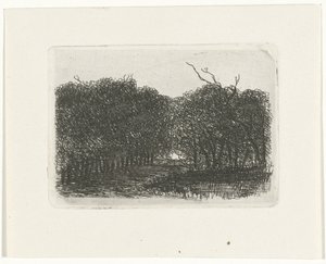 Vue de la forêt - Joseph Hartogensis