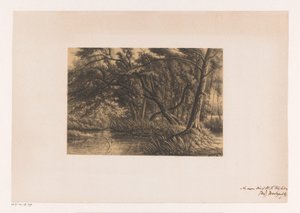 Paysage forestier avec étang - Joseph Hartogensis