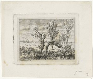 Paysage avec saules têtards