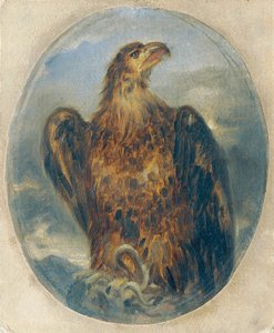 Aigle