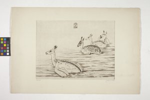 Cerfs indochinois I - Joseph Hecht