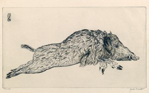 Sanglier (Le Sanglier)