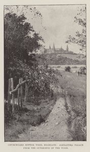 Churchyard Bottom Wood, Highgate, Alexandra Palace depuis les abords du bois - Joseph Holland Tringham