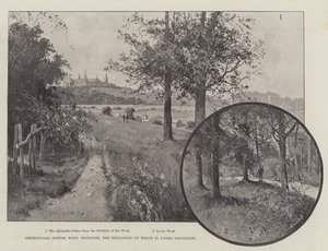 Bois de Churchyard Bottom, Highgate, dont la Spoliation est en Discussion - Joseph Holland Tringham