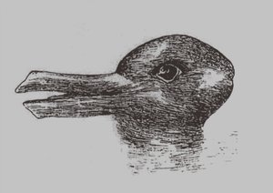Illusion canard-lapin. De: Jastrow, J. L