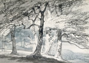 Parc de Norbury, Surrey - Joseph Mallord William (attr.to) Turner