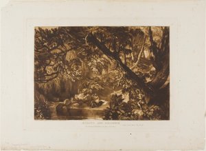 Aesacus et Hesperie, planche 66 de Liber Studiorum - Joseph Mallord William Turner