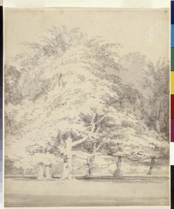 Hêtres - Joseph Mallord William Turner